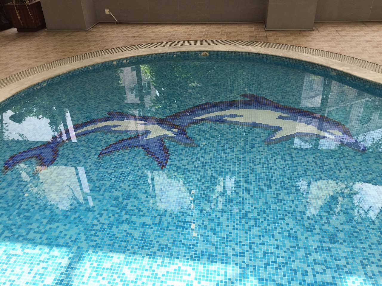 图片_20170522105026